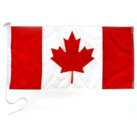 Flying Colours International  34007236T2, FLYING COLOURS INTERNATIONAL